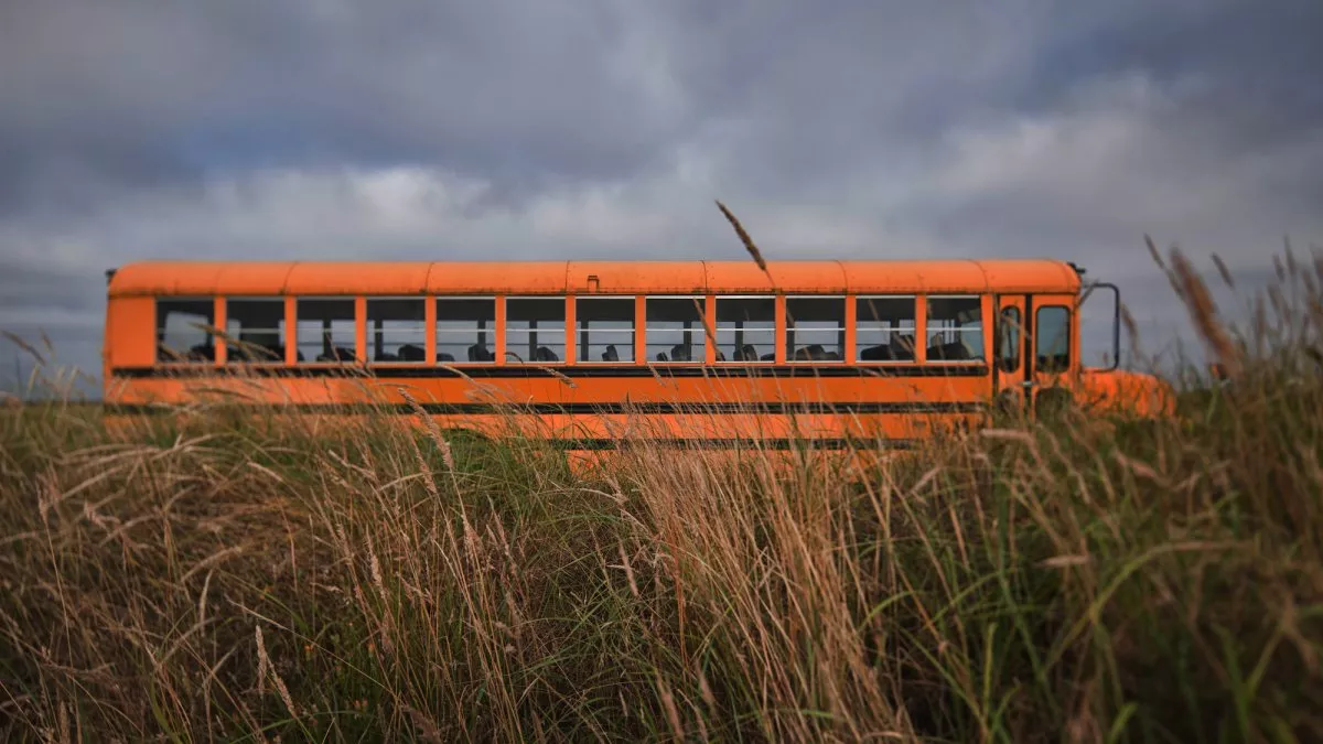 Bus