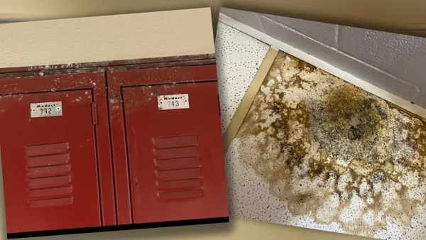mold in schools